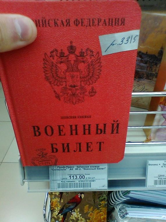 прописка в Светогорске